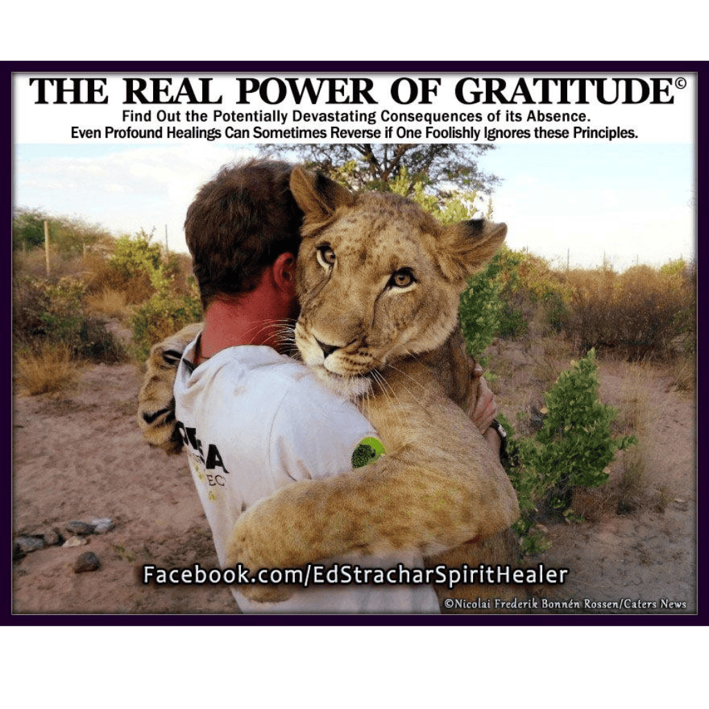 Wide landscape of a sunrise mountain ridge with a solitary walker in silhouette, 3:2 framing to communicate spaciousness and personal growth themes, crisp clarity and natural colors.